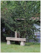 antike Sandstein Bank Park