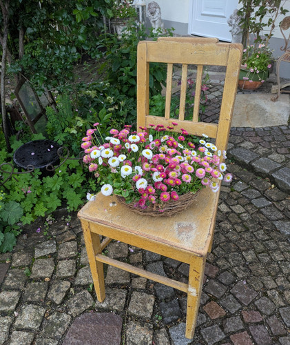 Stuhl shabby chic top patina - stuhl,